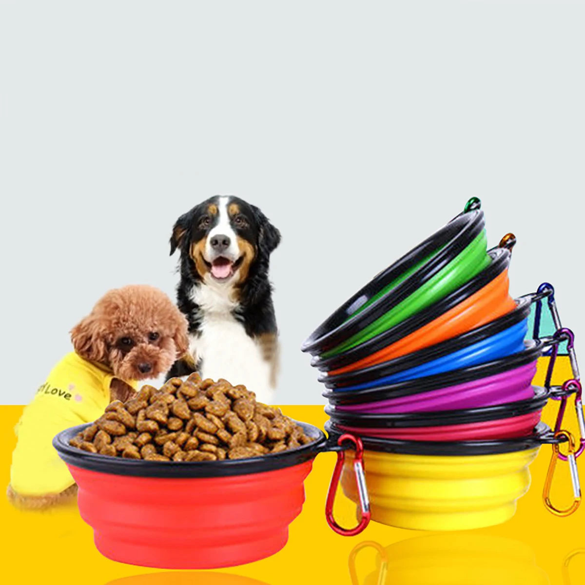 Collapsible Silicone Dog Bowl with Carabiner – Feed & Hydrate On the Go