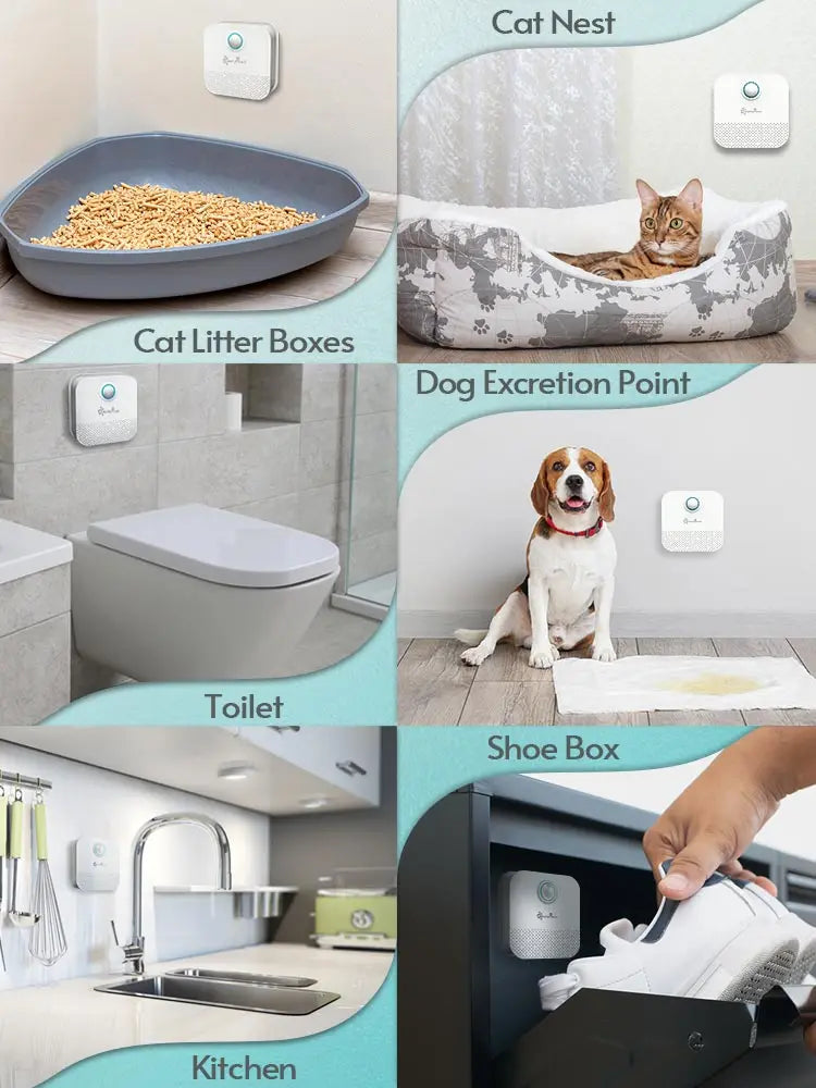 FreshPaws 4000: Intelligent Odor Neutralizer for Pet Toilets