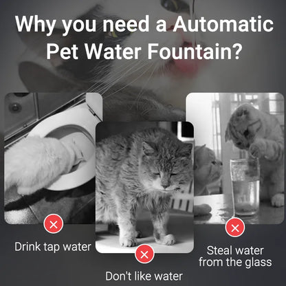 ROJECO Automatic Pet Water Fountain with Recirculating Filter – Smart Drinking Station for Cats & Dogs