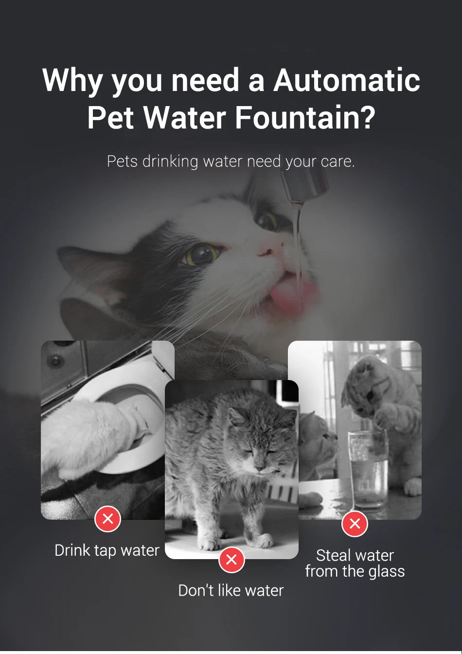 ROJECO Automatic Pet Water Fountain with Recirculating Filter – Smart Drinking Station for Cats & Dogs