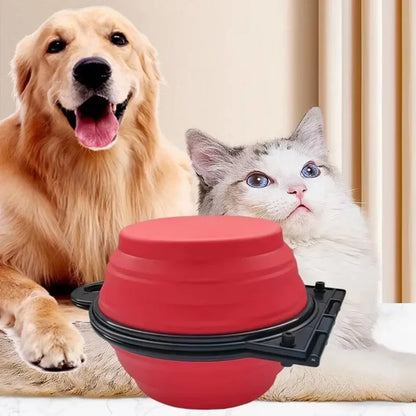 Portable 2-in-1 Foldable Dog & Cat Bowl – Dual Food & Water Feeder for Travel & Outdoor Use